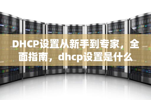 DHCP设置从新手到专家，全面指南，dhcp设置是什么意思