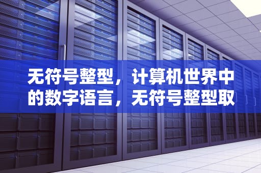 无符号整型，计算机世界中的数字语言，无符号整型取值范围