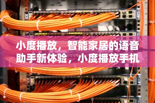 小度播放，智能家居的语音助手新体验，小度播放手机里的音乐