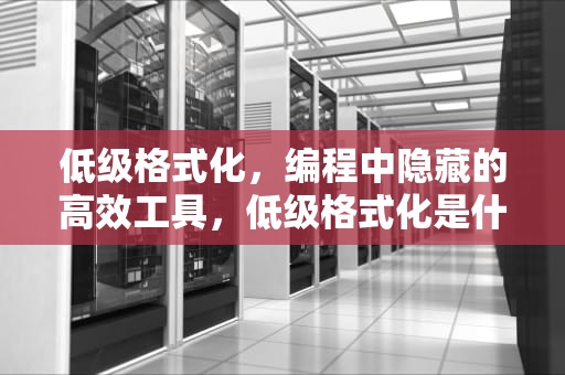 低级格式化，编程中隐藏的高效工具，低级格式化是什么意思