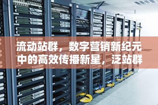 流动站群，数字营销新纪元中的高效传播新星，泛站群排名代发