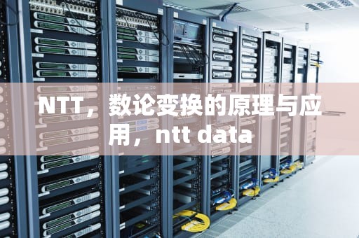 NTT，数论变换的原理与应用，ntt data