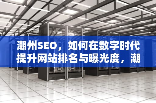 潮州SEO，如何在数字时代提升网站排名与曝光度，潮州seo网络营销方案