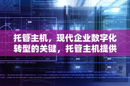 托管主机，现代企业数字化转型的关键，托管主机提供商
