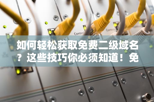 如何轻松获取免费二级域名？这些技巧你必须知道！免费二级域名申请网