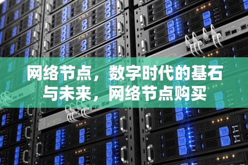 网络节点，数字时代的基石与未来，网络节点购买