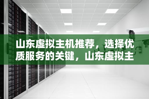 山东虚拟主机推荐，选择优质服务的关键，山东虚拟主机生产厂家