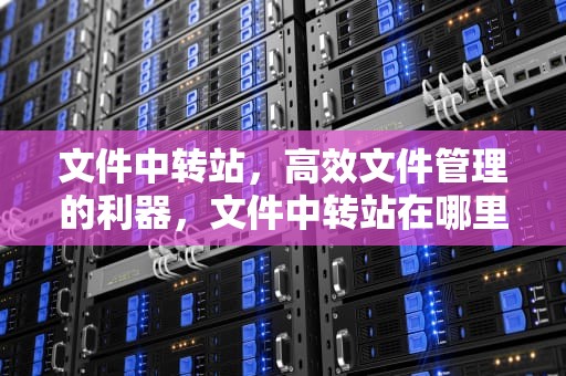 文件中转站，高效文件管理的利器，文件中转站在哪里打开