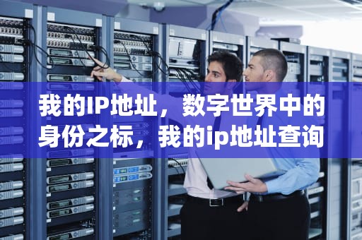 我的IP地址，数字世界中的身份之标，我的ip地址查询