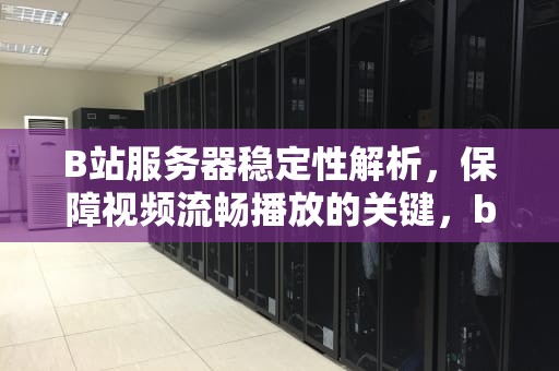 B站服务器稳定性解析，保障视频流畅播放的关键，b站服务器崩了
