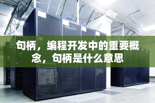 句柄，编程开发中的重要概念，句柄是什么意思
