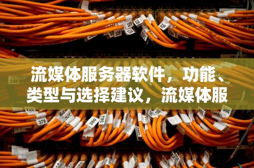 流媒体服务器软件，功能、类型与选择建议，流媒体服务器软件有哪些