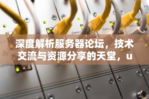深度解析服务器论坛，技术交流与资源分享的天堂，ub社区服务器论坛