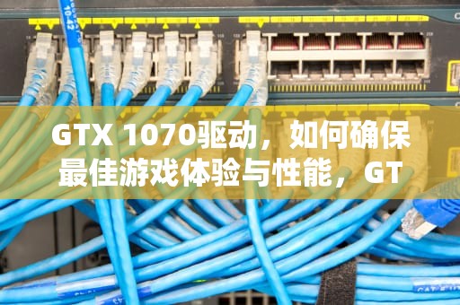 GTX 1070驱动，如何确保最佳游戏体验与性能，GTX1070驱动安装失败