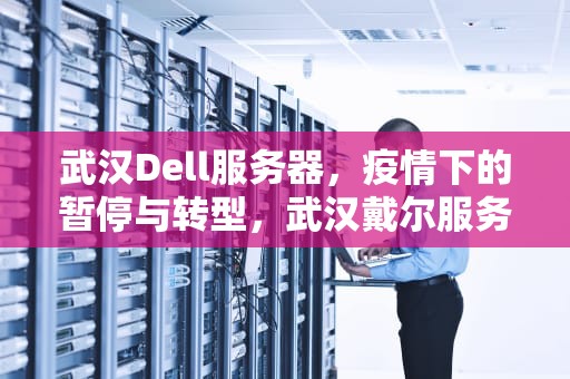 武汉Dell服务器，疫情下的暂停与转型，武汉戴尔服务器