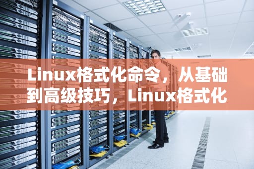 Linux格式化命令，从基础到高级技巧，Linux格式化命令