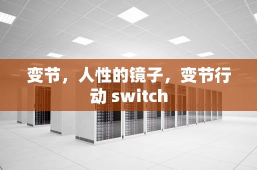 变节，人性的镜子，变节行动 switch