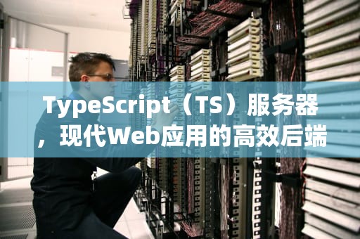 TypeScript（TS）服务器，现代Web应用的高效后端选择，TS服务器