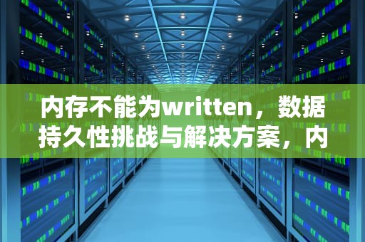 内存不能为written，数据持久性挑战与解决方案，内存不能为written怎么解决方法