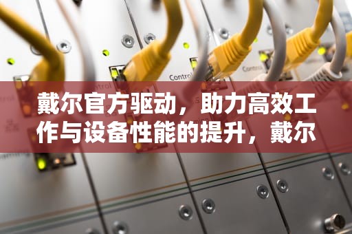 戴尔官方驱动，助力高效工作与设备性能的提升，戴尔官方驱动下载网站