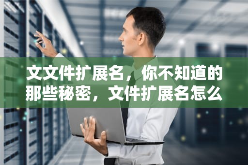 文文件扩展名，你不知道的那些秘密，文件扩展名怎么显示出来