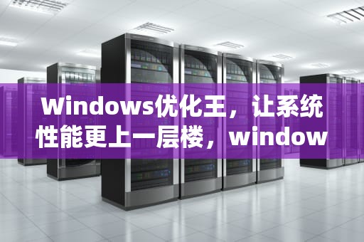 Windows优化王，让系统性能更上一层楼，windows 优化