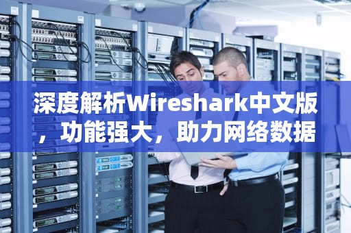 深度解析Wireshark中文版，功能强大，助力网络数据分析，wireshark中文版下载