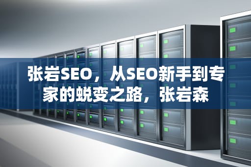 张岩SEO，从SEO新手到专家的蜕变之路，张岩森