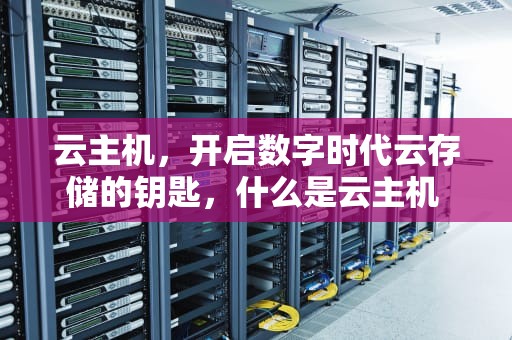 云主机，开启数字时代云存储的钥匙，什么是云主机 云主机能干什么