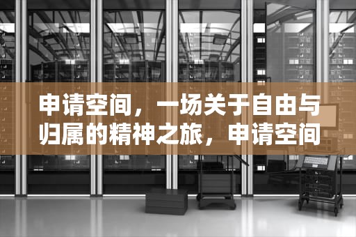 申请空间，一场关于自由与归属的精神之旅，申请空间和释放空间的函数