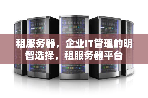 租服务器，企业IT管理的明智选择，租服务器平台