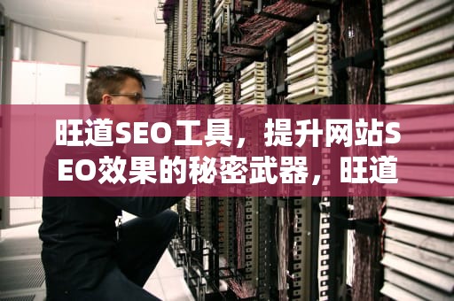 旺道SEO工具，提升网站SEO效果的秘密武器，旺道seo软件