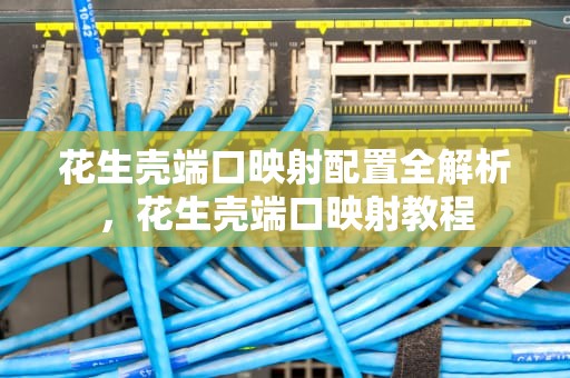 花生壳端口映射配置全解析，花生壳端口映射教程