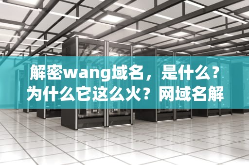 解密wang域名，是什么？为什么它这么火？网域名解析ip查询