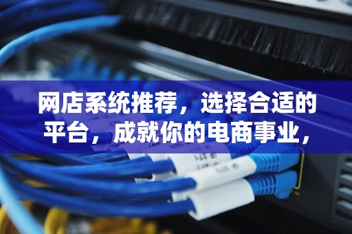 网店系统推荐，选择合适的平台，成就你的电商事业，网店系统软件