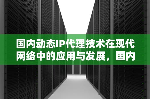 国内动态IP代理技术在现代网络中的应用与发展，国内动态IP代理