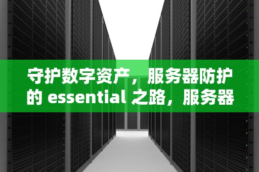 守护数字资产，服务器防护的 essential 之路，服务器防护软件