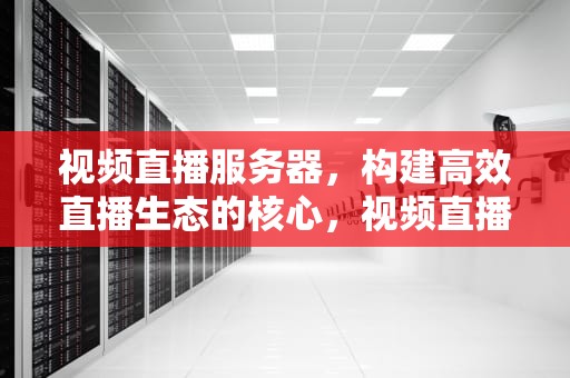 视频直播服务器，构建高效直播生态的核心，视频直播服务器需要多大带宽