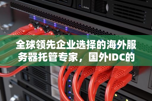 全球领先企业选择的海外服务器托管专家，国外IDC的优势与选择，国外idc服务商