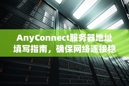 AnyConnect服务器地址填写指南，确保网络连接稳定，anyconnect服务器地址怎么填苹果ins