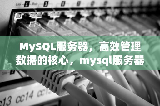 MySQL服务器，高效管理数据的核心，mysql服务器的配置文件的文件名是什么