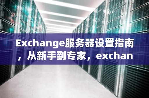 Exchange服务器设置指南，从新手到专家，exchange服务器设置步骤详解