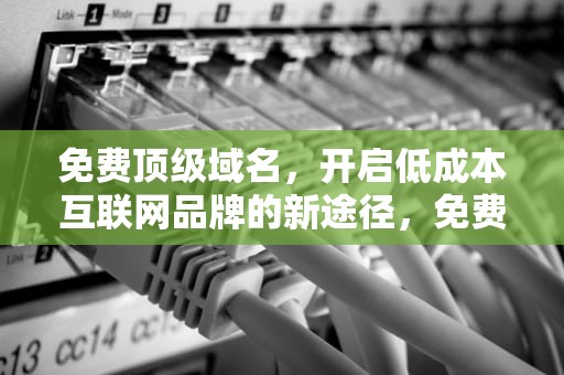 免费顶级域名，开启低成本互联网品牌的新途径，免费顶级域名申请