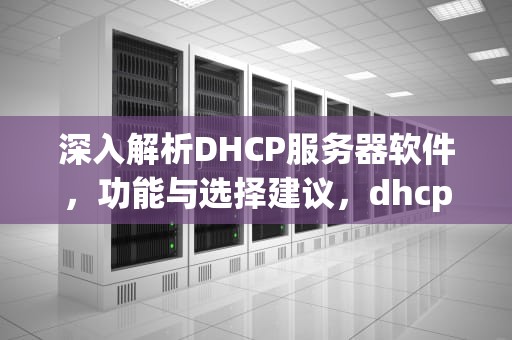 深入解析DHCP服务器软件，功能与选择建议，dhcp服务器软件有哪些