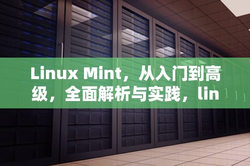 Linux Mint，从入门到高级，全面解析与实践，linux mint安装教程