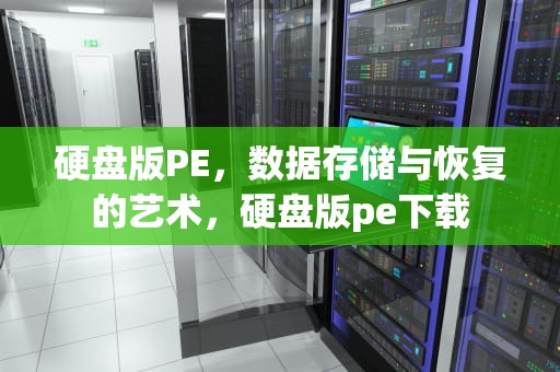 硬盘版PE，数据存储与恢复的艺术，硬盘版pe下载