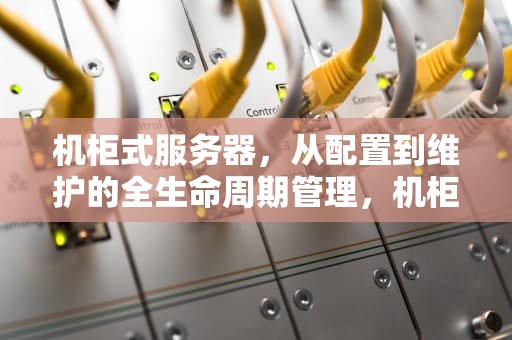 机柜式服务器，从配置到维护的全生命周期管理，机柜式服务器硬盘掉盘怎么办