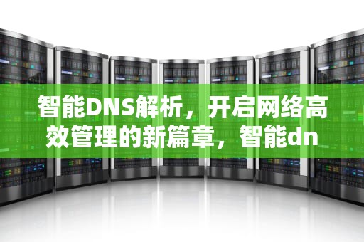 智能DNS解析，开启网络高效管理的新篇章，智能dns解析原理