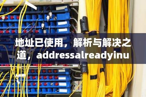地址已使用，解析与解决之道，addressalreadyinusejvm_bind