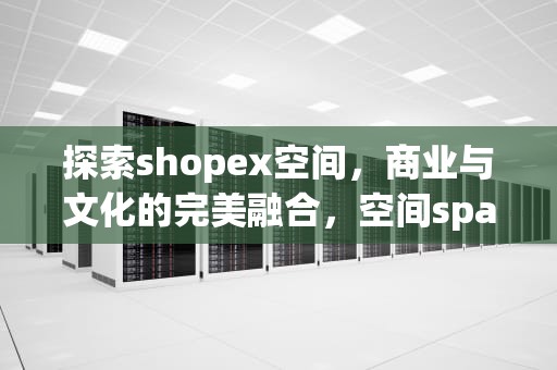 探索shopex空间，商业与文化的完美融合，空间space
